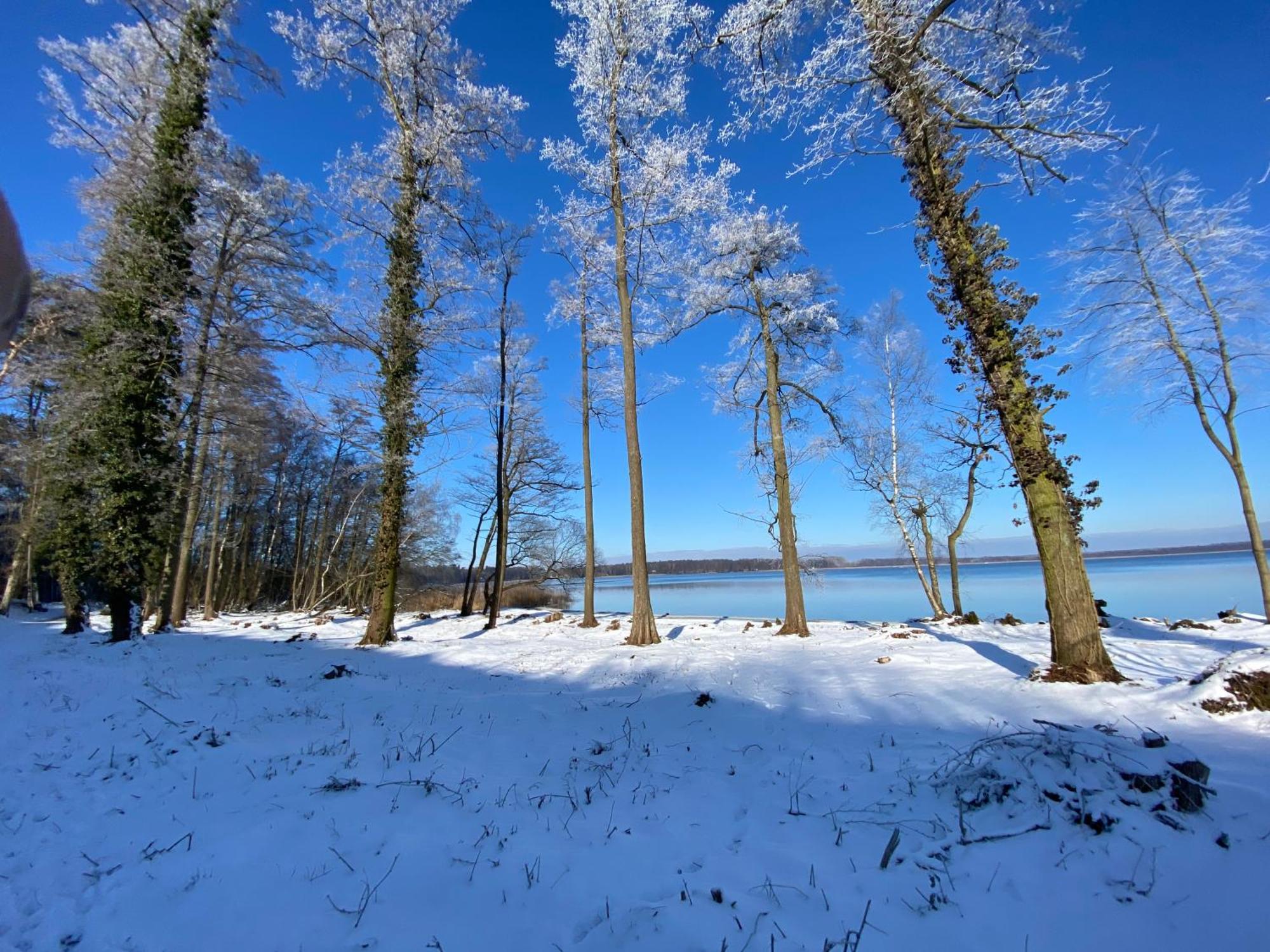 Wolfshotel Am Arendsee Арендзее Екстериор снимка